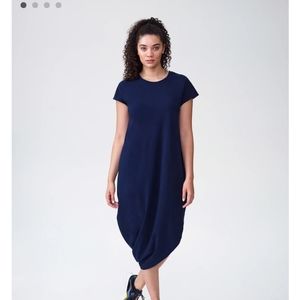 Universal Standard Geneva dress